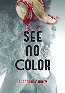 See No Color by Shannon Gibney